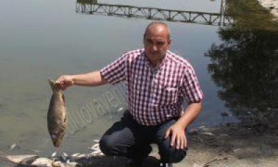 Suluova Oğulbağı Göledinde ki Balıklar Telef Oldu.