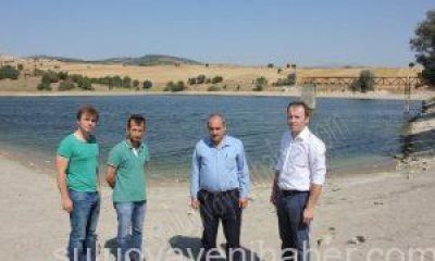 Balık Ölümlerinin Nedeni, ALG Patlaması.