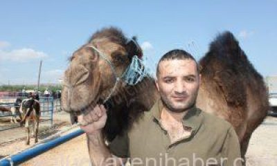 Bahtiyar İsimli Kurbanlık Deveyi Alana Koç Bedava.