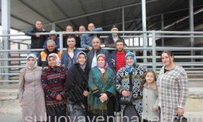 Suluova’da Damızlık Düve Dağıtıldı.