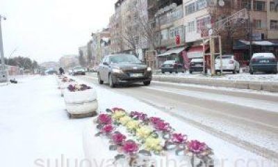 Suluova’da, Mevsimin İlk Kar Yağışı Etkili Oldu.