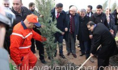 Enerji Bakanı Dönmez, Suluova Cevizdibi Mahallesinde Fidan Dikim Törenine Katıldı.