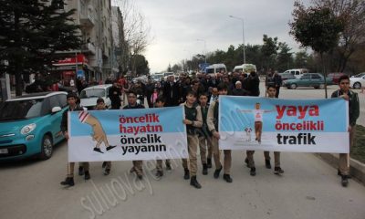 Suluova’da “Yaya Öncelikli Trafik” Eylemi Yapıldı.