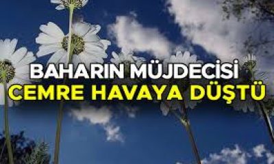 İlk Cemre Havaya Düştü.