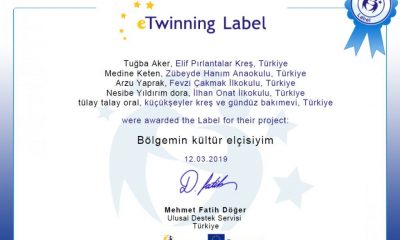 Bölgemin Kültür Elçisiyim  eTwinning Projesi Kabul Edildi.