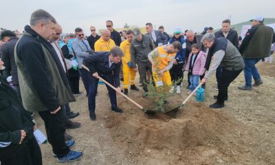 11 KASIM MİLLİ AĞAÇLANDIRMA GÜNÜNDE SULUOVA’DA 4 BİN ADET FİDAN TOPRAKLA BULUŞTU