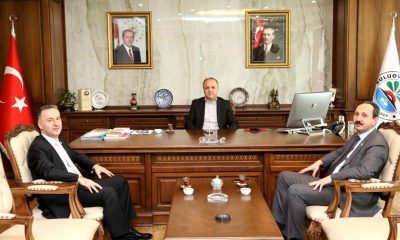 Suluova Orman İşletme Şefliği kuruldu.