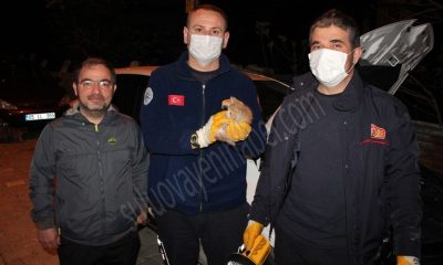 Yavru kedinin imdadına itfaiye yetişti.