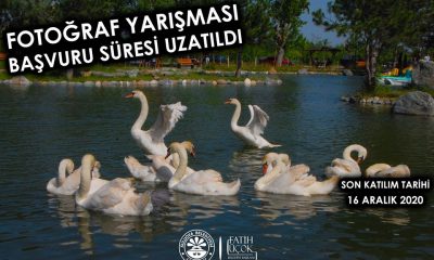 Fotoğraf Yarışma Başvuruları 16 Aralık’a Kadar Uzatıldı.