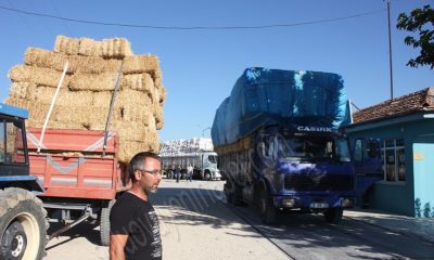 Suluova’da saman fiyatları arttı