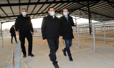 Valimiz Masatlı, Suluova’da incelemelerde bulundu