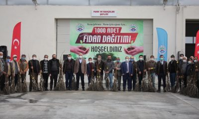 Suluova Belediyesi bin adet ceviz fidanı dağıttı.