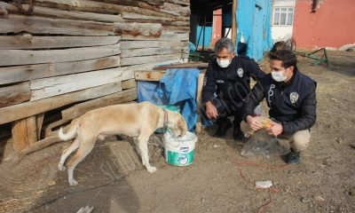 VEFA GRUBU ÜYELERİ, AÇ KALAN KÖPEĞİ BESLEDİ