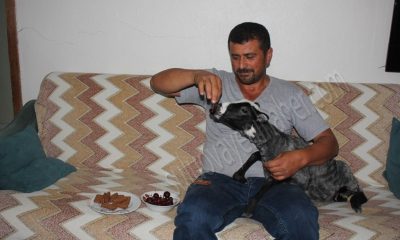 ANNESİNİN KABUL ETMEDİĞİ KUZU’YU EVLAT EDİNDİ.ÖZEL HABER