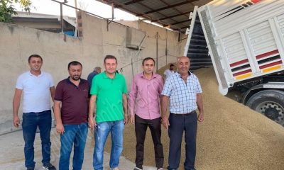 SULUOVA KIRMIZI ET BİRLİĞİ, ÜYELERİNE YEMLİK ARPA TESLİMATINA BAŞLADI