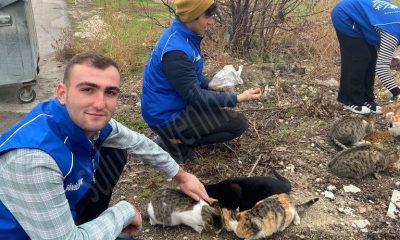 GÖNÜLLÜ GENÇLERDEN SOKAK HAYVANLARINA YEM DESTEĞİ