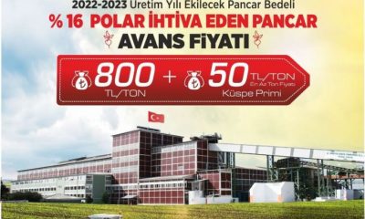 AMASYA ŞEKER FABRİKASINDA 2022-2023 PANCAR BEDELİ BELLİ OLDU