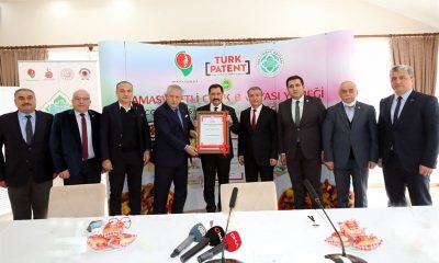 AMASYANIN ETLİ ÇİÇEK BAMYASI YEMEĞİNİN COĞRAFİ İŞARETİ TESCİL EDİLDİ