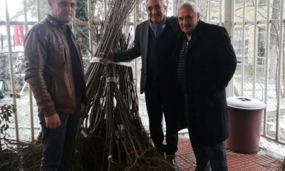 SULUOVA ZİRAAT ODASI MEYVE FİDANI SATIMINA BAŞLADI