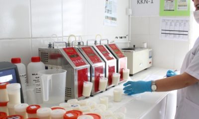 AMASYA’DA GÜNLÜK 42 TON SÜT TOPLANDI