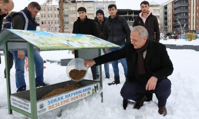 BAŞKAN ÜÇOK; “CAN DOSTLARIMIZ SAHİPSİZ DEĞİLLER, BİZLERE EMANETLER”