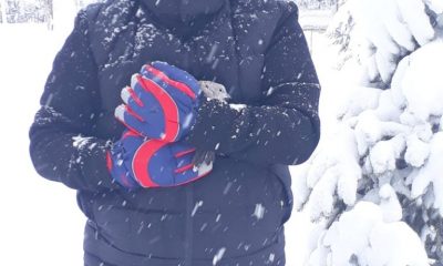 BİTKİN DÜŞEN KUMRU, SULUOVA KAYMAKAMININ MİSAFİRİ OLDU !