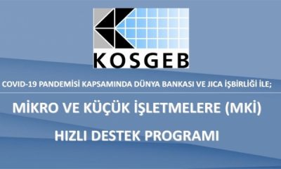 KOSGEB-MİKRO ve KÜÇÜK İŞLETMELERE(MKİ) HIZLI DESTEK PROGRAMI.