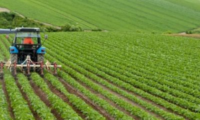 TARIMSAL DESTEKLEMEYE EK BÜTÇE ÇIKTI