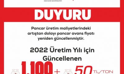 ŞEKER FABRİKASI, PANCAR AVANS FİYATINI 1.100 TL’YE ÇIKARTTI
