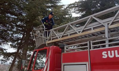 MAHSUR KALAN KARGANIN İMDADINA İTFAİYE YETİŞTİ