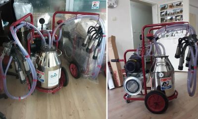 SÜT SAĞMA MAKİNESİ DESTEĞİ İÇİN BAŞVURULAR BAŞLADI