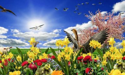 HIDIRELLEZ BAYRAMIMIZ KUTLU OLSUN