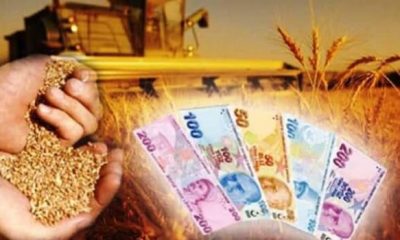 ÇKS BAŞVURULARI İÇİN SON GÜN 30 HAZİRAN