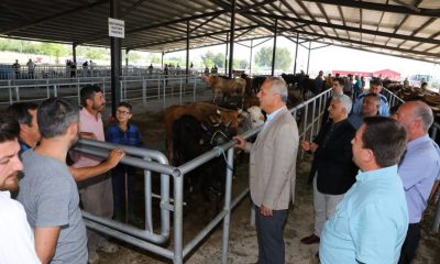 BELEDİYE BAŞKANIMIZ ÜÇOK, YENİ CANLI HAYVAN PAZARINI ZİYARET ETTİ