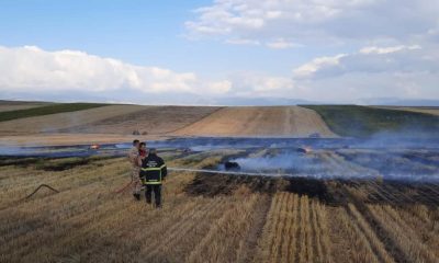 SULUOVA’DA 15 DÖNÜM ARAZİ YANDI