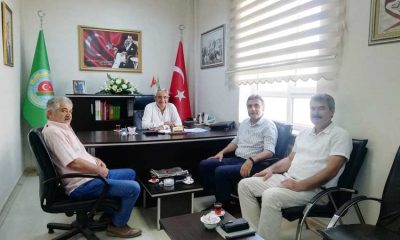 TMO SULUOVA’DA BUĞDAY ALIMI YAPACAK