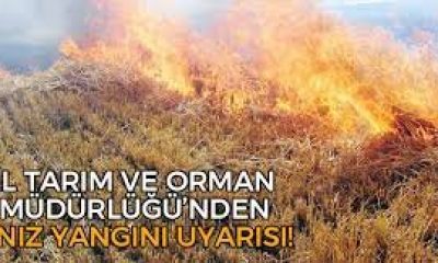 TARIM VE ORMAN İL MÜDÜRLÜĞÜNDEN ANIZ YANGINI BASIN AÇIKLAMASI