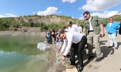 SULUOVA YEDİKIR ÜRETİM İSTASYONUNDA YETİŞEN 100 BİN ADET YAVRU BALIK SUYLA BULUŞTU