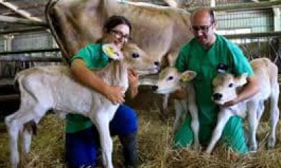 MÜRACAATLAR İÇİN SON GÜN 12 EYLÜL