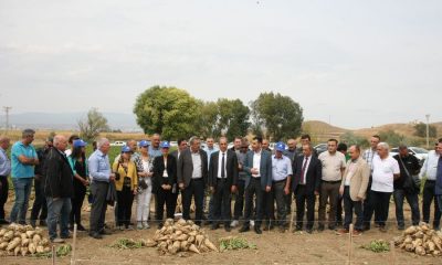 ŞEKER FABRİKASI İLE YÜKSEKOKUL YENİ ÇEŞİT PANCAR TOHUMLARINDAN DENEME ÜRETİMLERİ YAPIYOR.