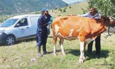 ISLAH ÇALIŞMALARI DEVAM EDİYOR