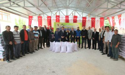 NADAS ALANLAR İÇİN TRİTİKALE TOHUMU DAĞITIM YAPILDI