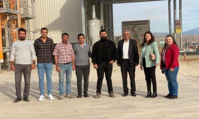 SULUOVA AGROLİNA ENTEGRE YAĞ FABRİKASI MISIR ALIMLARINA BAŞLADI.