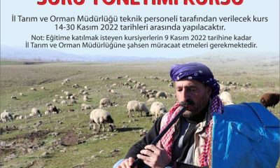 SÜRÜ YÖNETİMİ ELEMANI KURSU AÇILIYOR