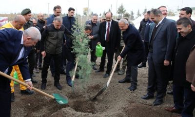 “MİLLİ AĞAÇLANDIRMA GÜNÜ” KAPSAMINDA SULUOVA’DA FİDANLAR TOPRAKLA BULUŞTU.