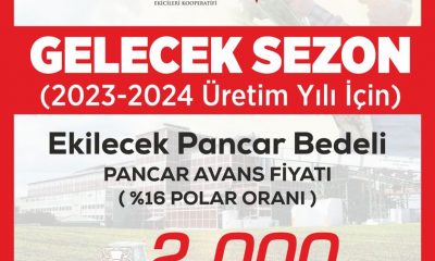 ŞEKER FABRİKASI 2023-2024 ÜRETİM DÖNEMİ PANCAR ALIM FİYATINI AÇIKLADI; 2 BİN TL