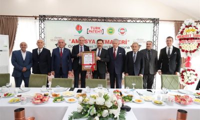 AMASYA SEMAVERİ’NİN COĞRAFİ İŞARET TESCİL EDİLDİ