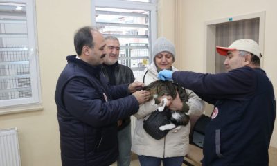 SAHİPLİ KEDİ VE KÖPEKLERİ KİMLİKLENDİRME(MİKROÇİP) İŞLEMLERİ DEVAM EDİYOR