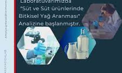 AMASYA GIDA KONTROL LABORATUVAR MÜDÜRLÜĞÜ, SÜT VE SÜT ÜRÜNLERİNDE BİTKİSEL YAĞ ARANMASI ANALİZİNE BAŞLADI