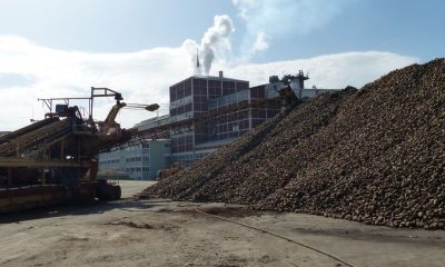 ŞEKER FABRİKASINDA DÖKME KÜSPE SATIŞINDA SON BİR HAFTA